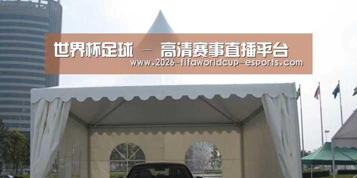 案例标题八(图1)