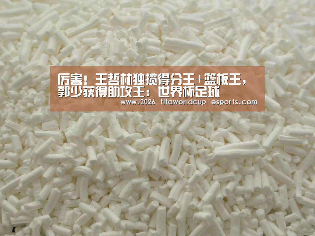  世界杯电竞竞猜